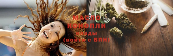 индика Богородск