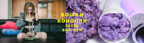 индика Богородск