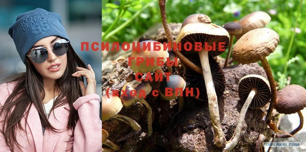 кокаин Богданович