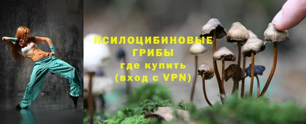 прущий лед Бородино