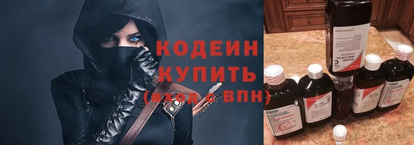 индика Богородск
