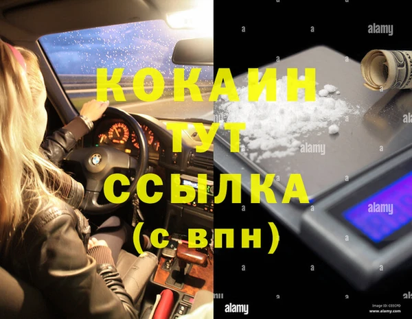 индика Богородск