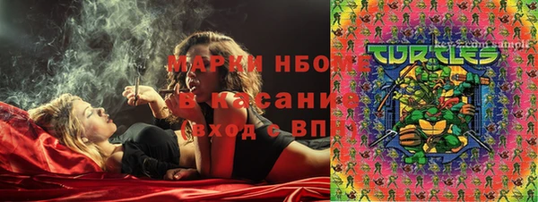 индика Богородск
