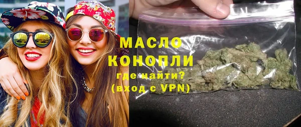 индика Богородск