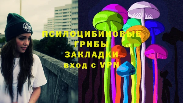 a pvp Богородицк