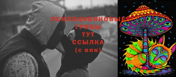 прущий лед Бородино