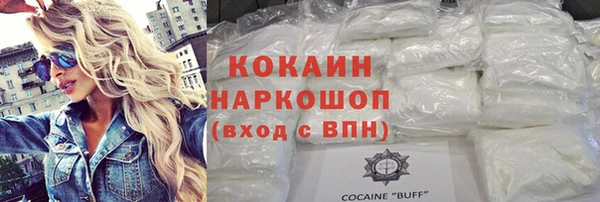 индика Богородск