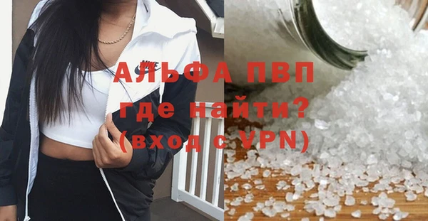 индика Богородск