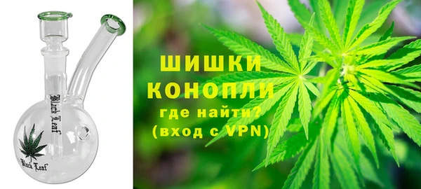 прущий лед Бородино