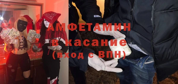индика Богородск