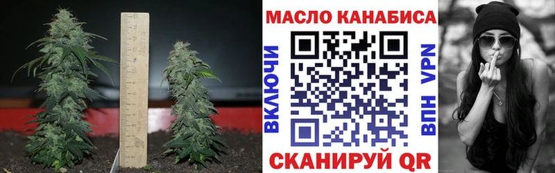 ТГК THC oil  закладки  Кемь 