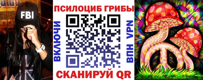 Псилоцибиновые грибы Psilocybine cubensis как найти Кемь